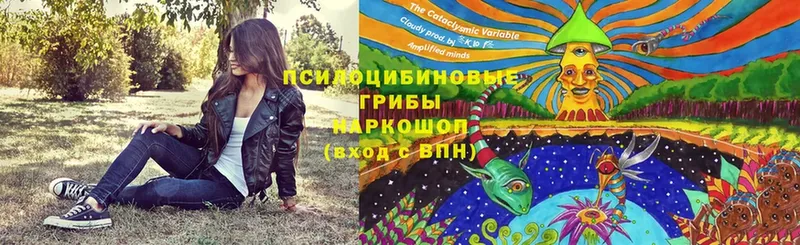 Псилоцибиновые грибы мицелий  Бугуруслан 